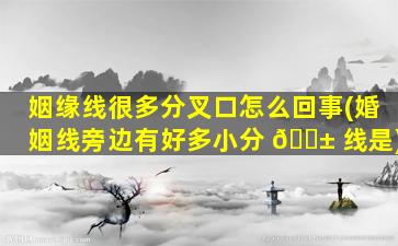 姻缘线很多分叉口怎么回事(婚姻线旁边有好多小分 🐱 线是)